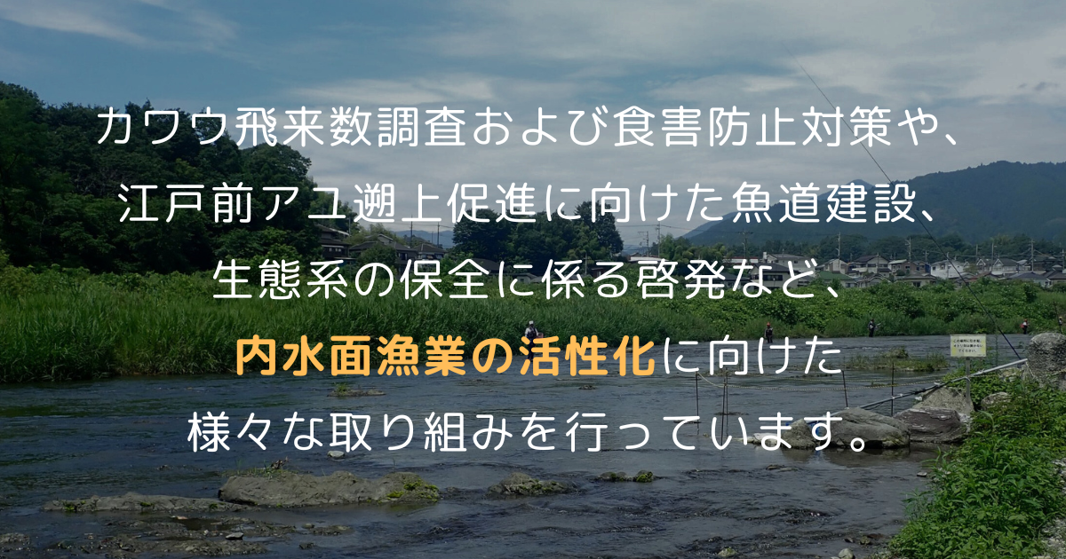 事業内容